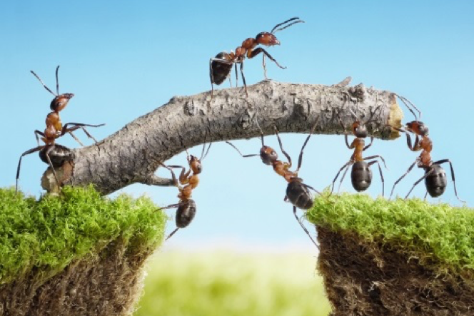 How to clarify perceptions of leadership action to take (C)