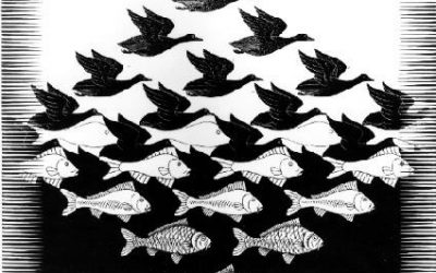 Why and where competency frameworks succeed or fail